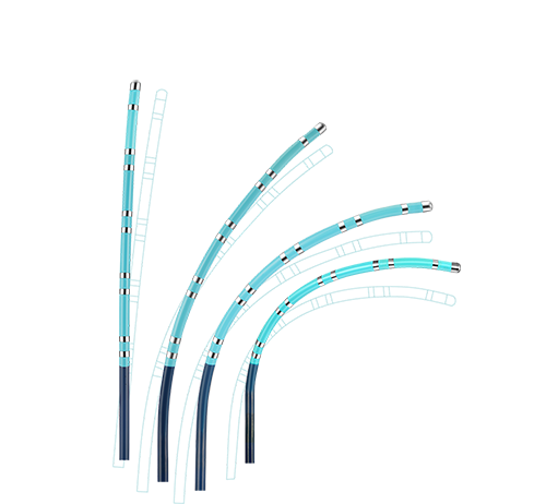 APT Medical SinusFlex™ Steerable Decapolar Mapping Catheter