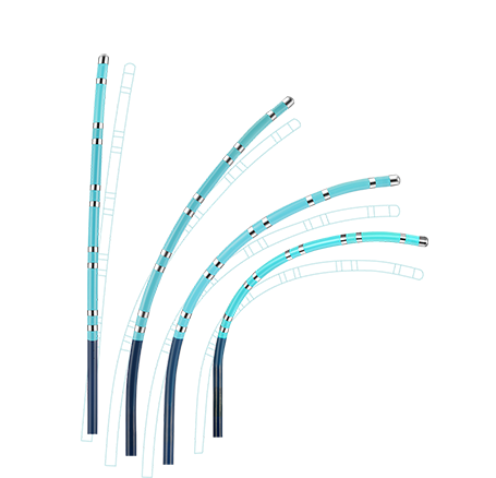 Triguy™ Steerable PV Mapping Catheter