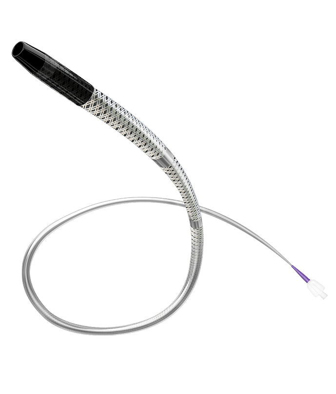 Blackeel™ Hydrophilic Guidewire