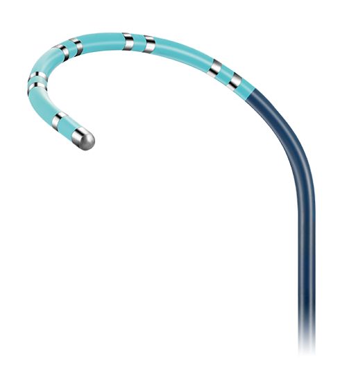 SinusFlex™ Steerable Decapolar Mapping Catheter