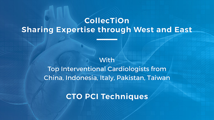 CollecTiOn: Sharing Expertise from West through East Successfully Held on February 4th 2021